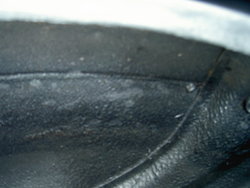 Image volvo-345-81.01.011.jpg